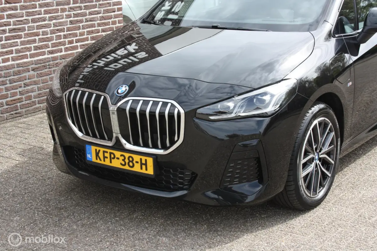360cam, M sport onderstel, panoramadak 225e xDrive
