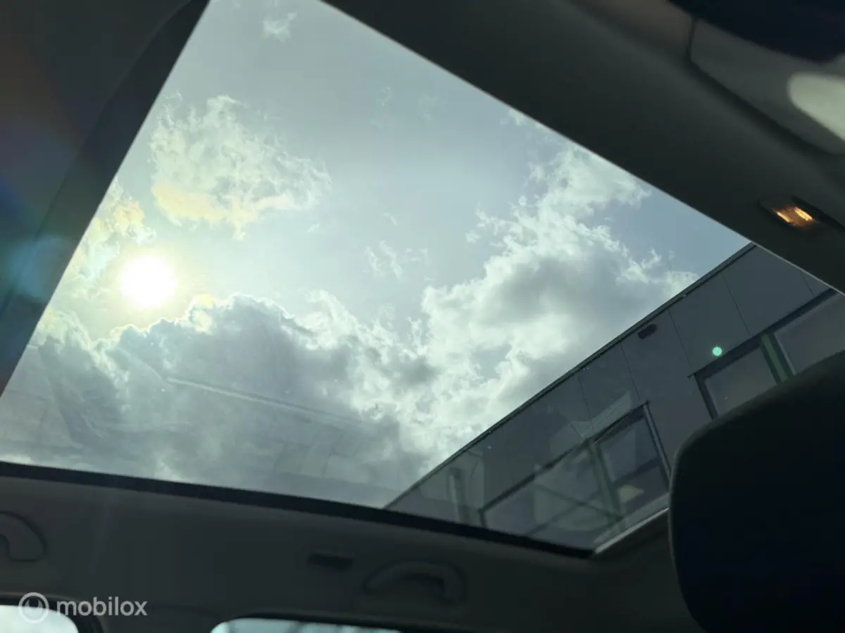 1.0 Business Edition,CarPlay,Stoelv,Dak