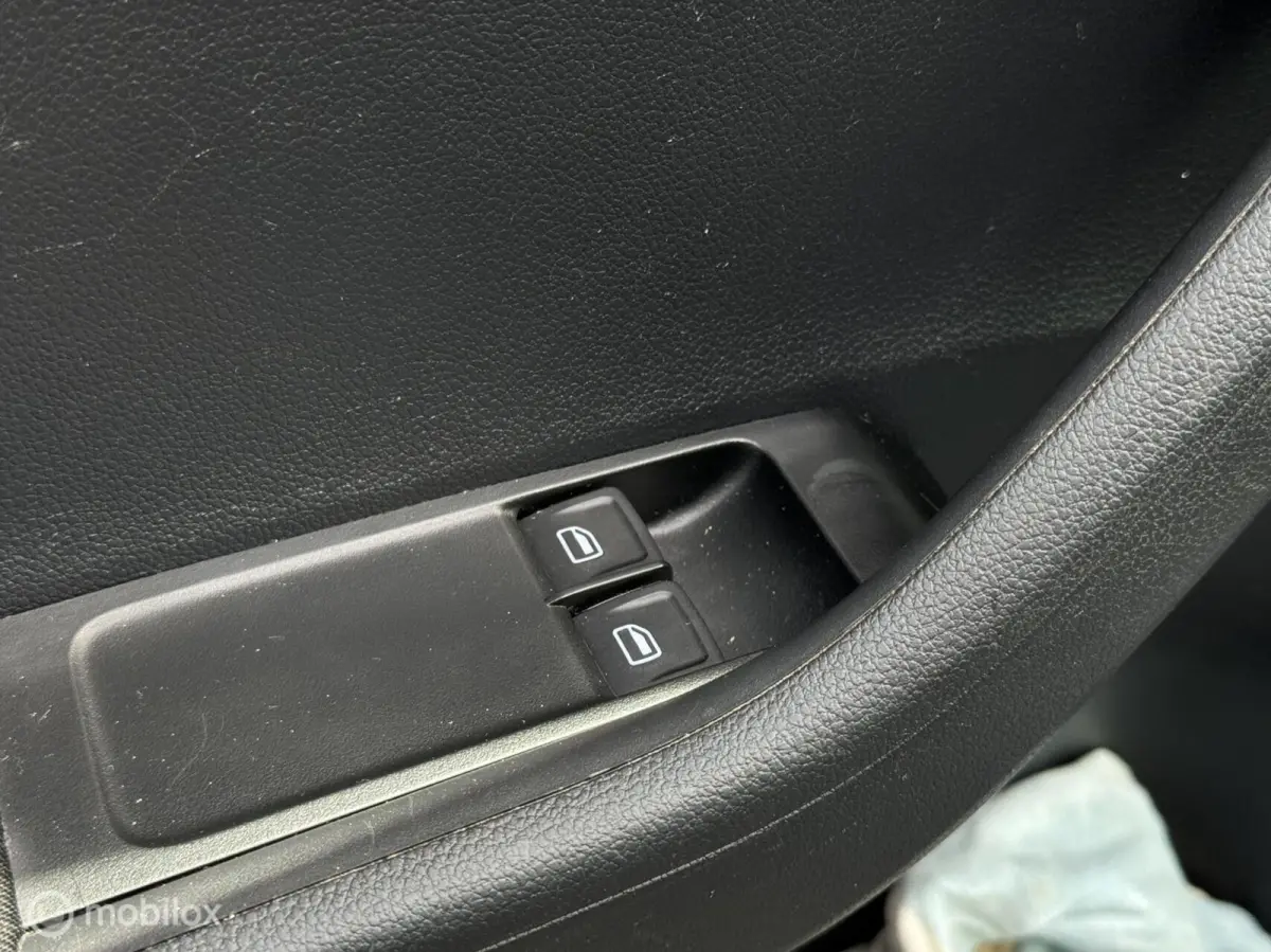 1.0 Business Edition,CarPlay,Stoelv,Dak