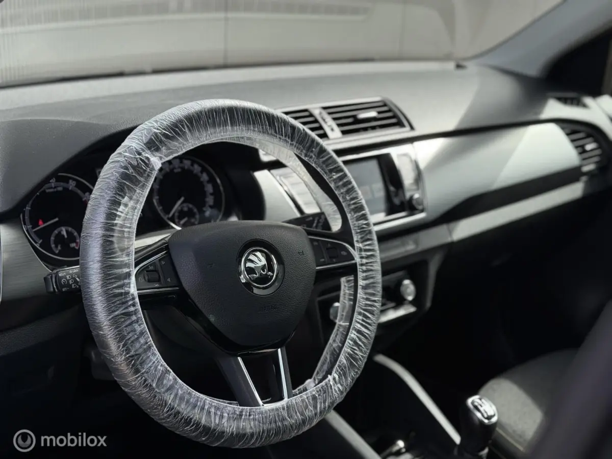 1.0 Business Edition,CarPlay,Stoelv,Dak