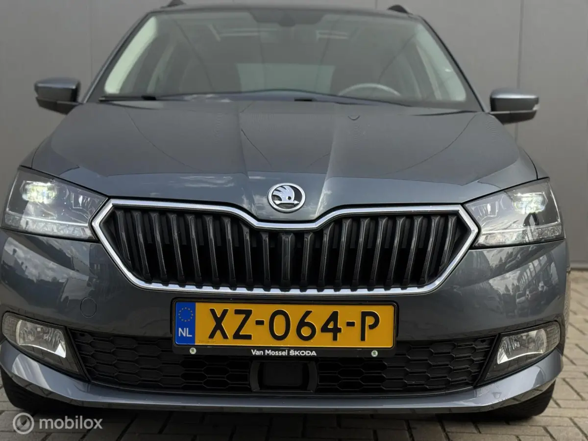 1.0 Business Edition,CarPlay,Stoelv,Dak