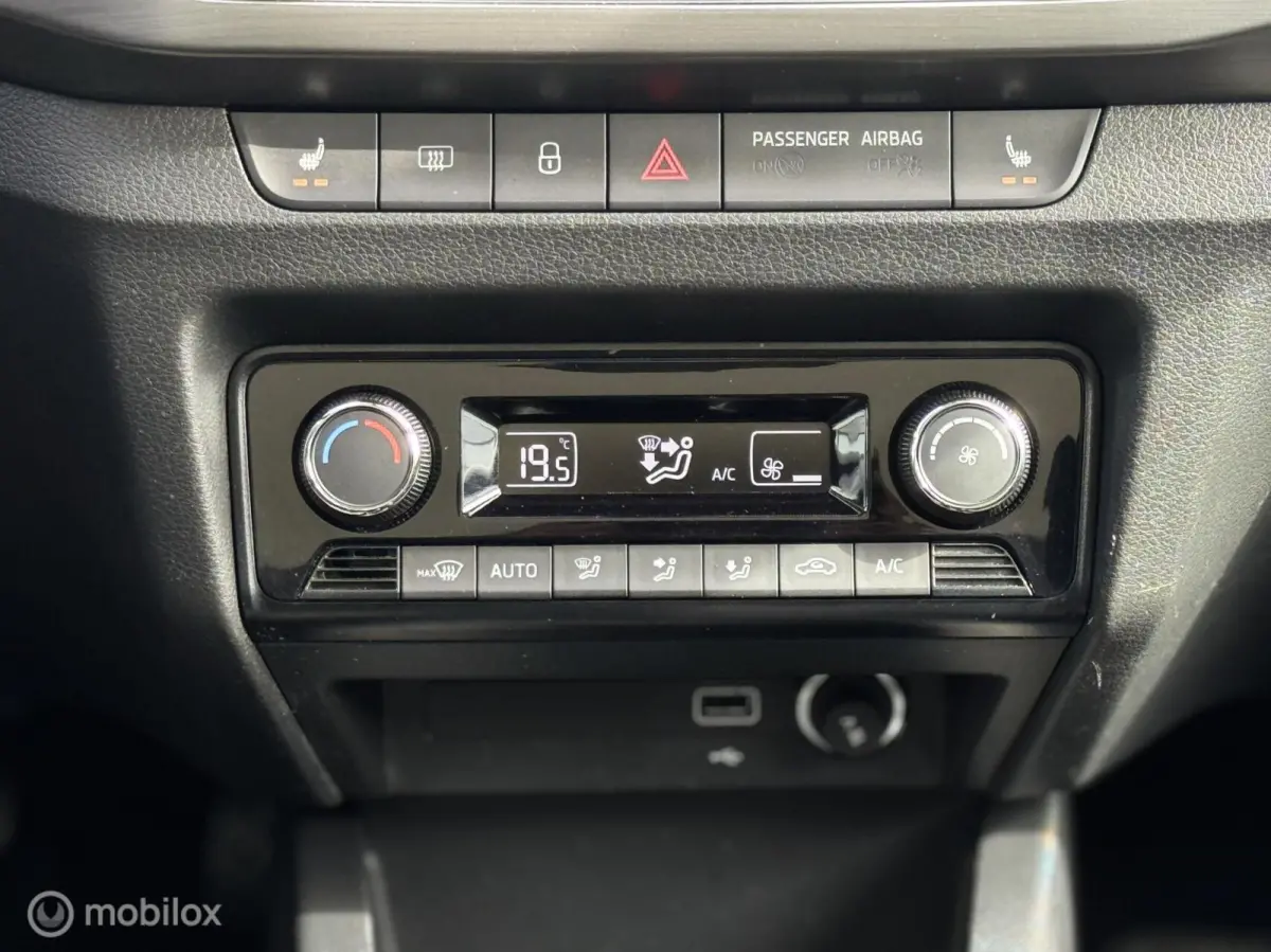 1.0 Business Edition,CarPlay,Stoelv,Dak