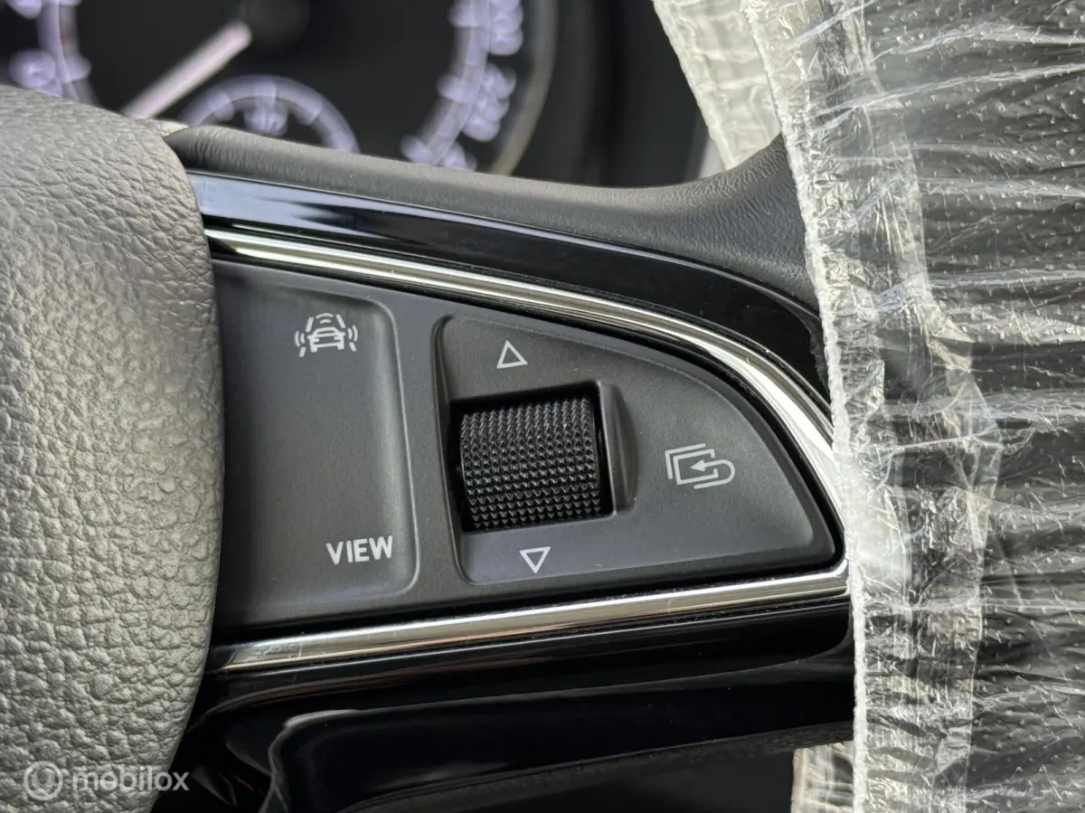 1.0 Business Edition,CarPlay,Stoelv,Dak