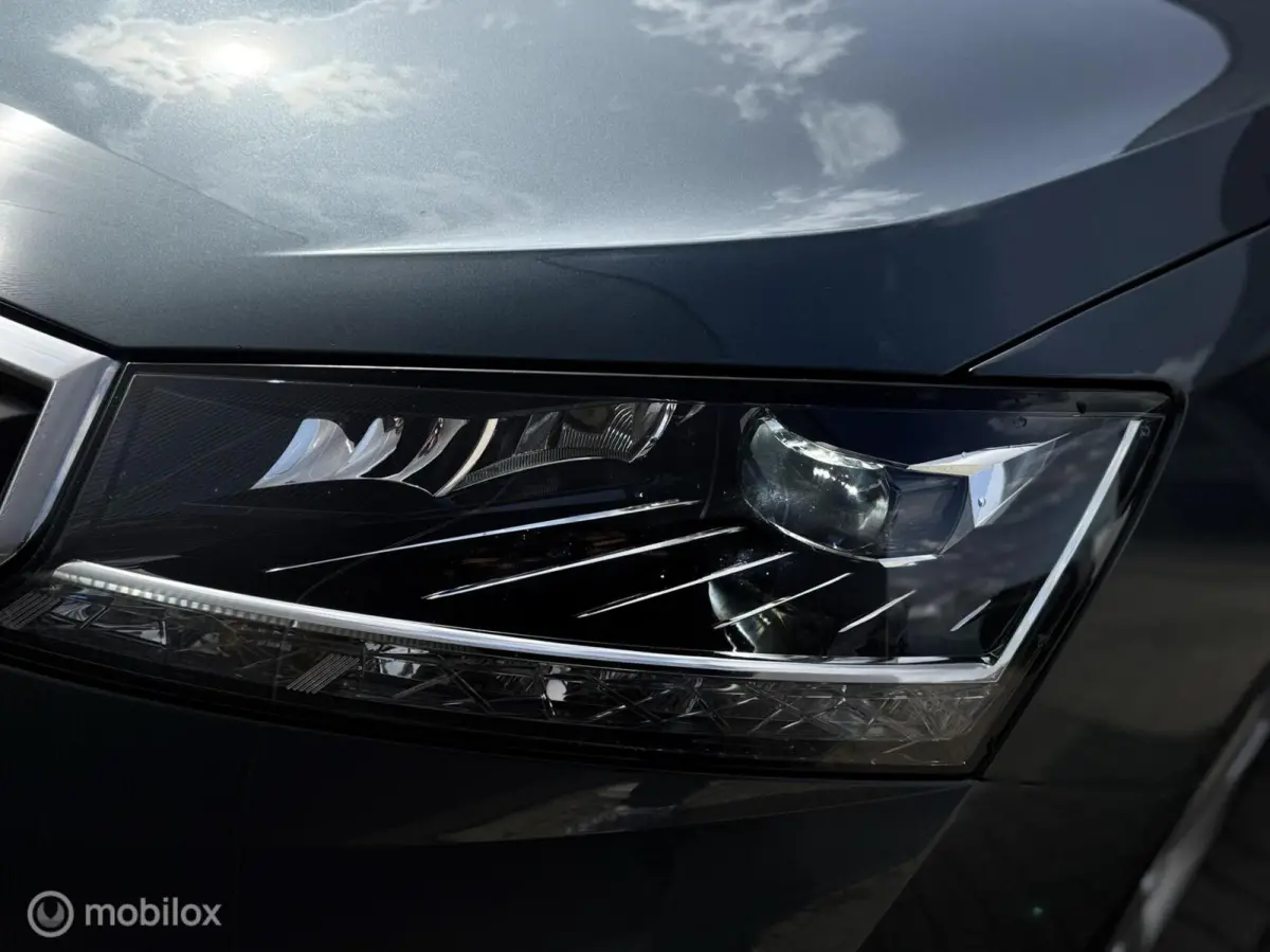 1.0 Business Edition,CarPlay,Stoelv,Dak