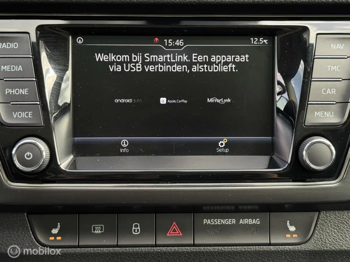 1.0 Business Edition,CarPlay,Stoelv,Dak