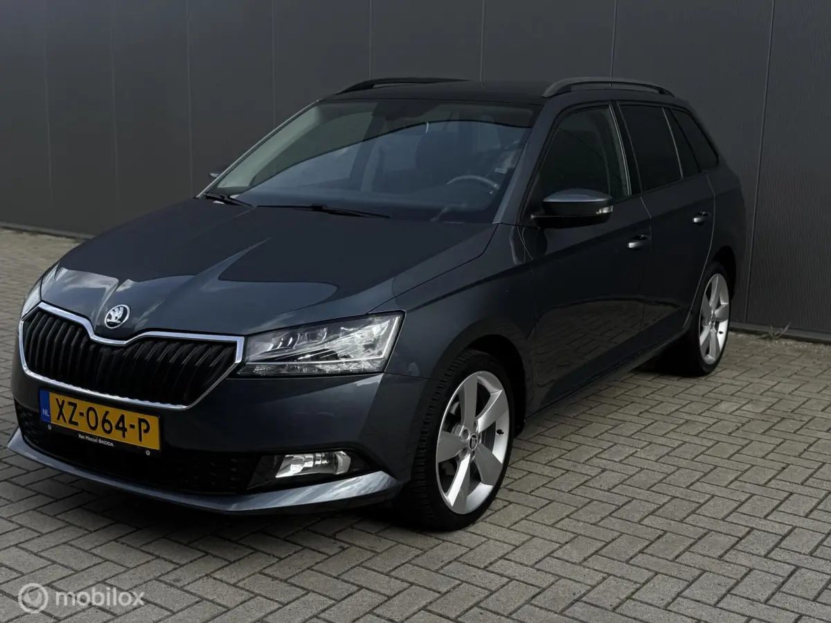 1.0 Business Edition,CarPlay,Stoelv,Dak