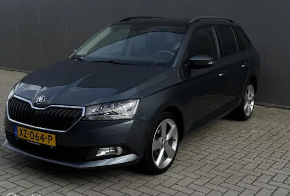 1.0 Business Edition,CarPlay,Stoelv,Dak
