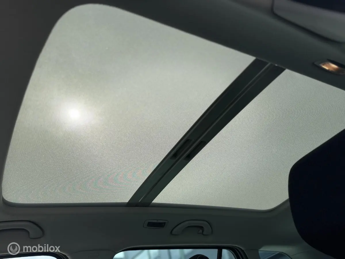 1.0 Business Edition,CarPlay,Stoelv,Dak