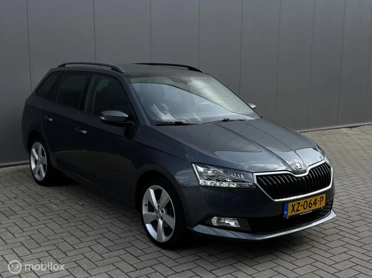 1.0 Business Edition,CarPlay,Stoelv,Dak