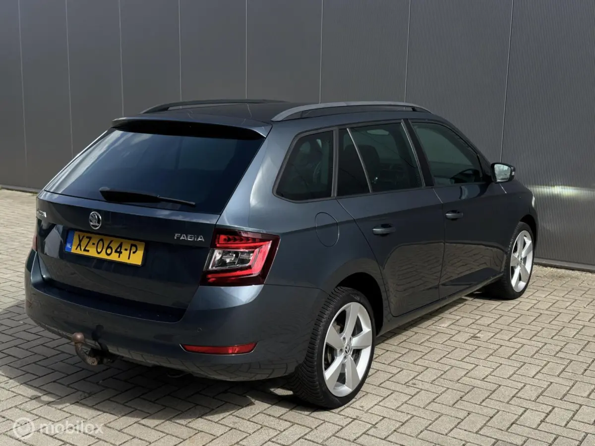 1.0 Business Edition,CarPlay,Stoelv,Dak