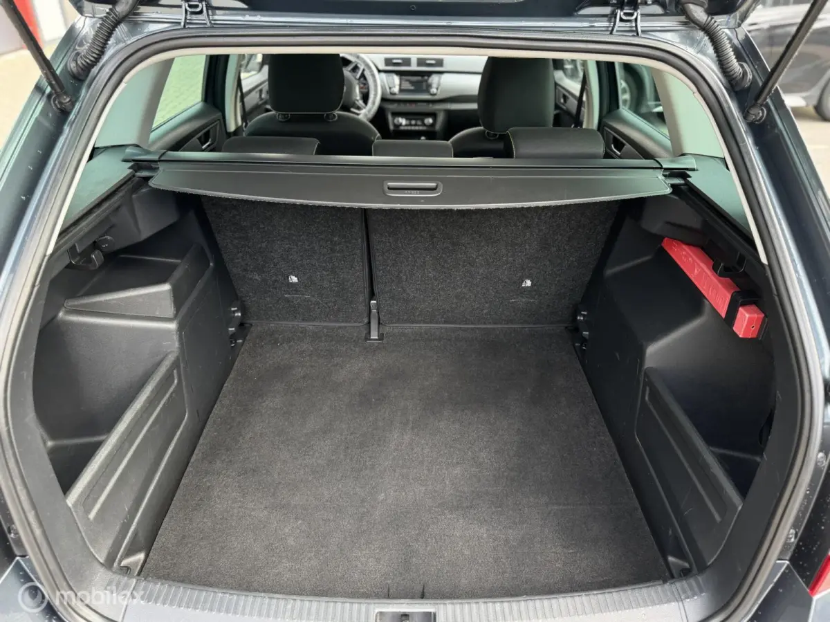 1.0 Business Edition,CarPlay,Stoelv,Dak