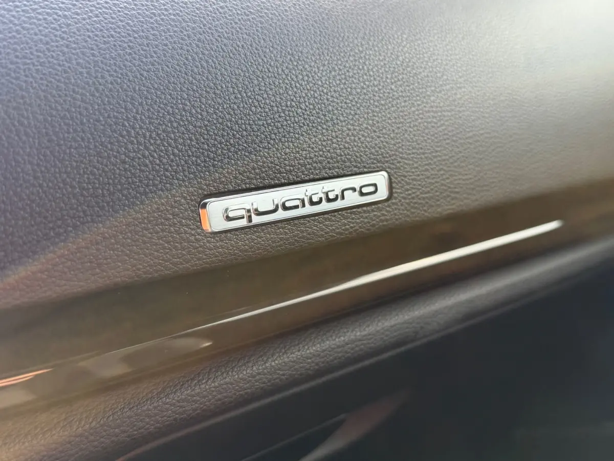 2.0 TFSI S3 quattro Pro Line Plus / B&O/ Aircraft