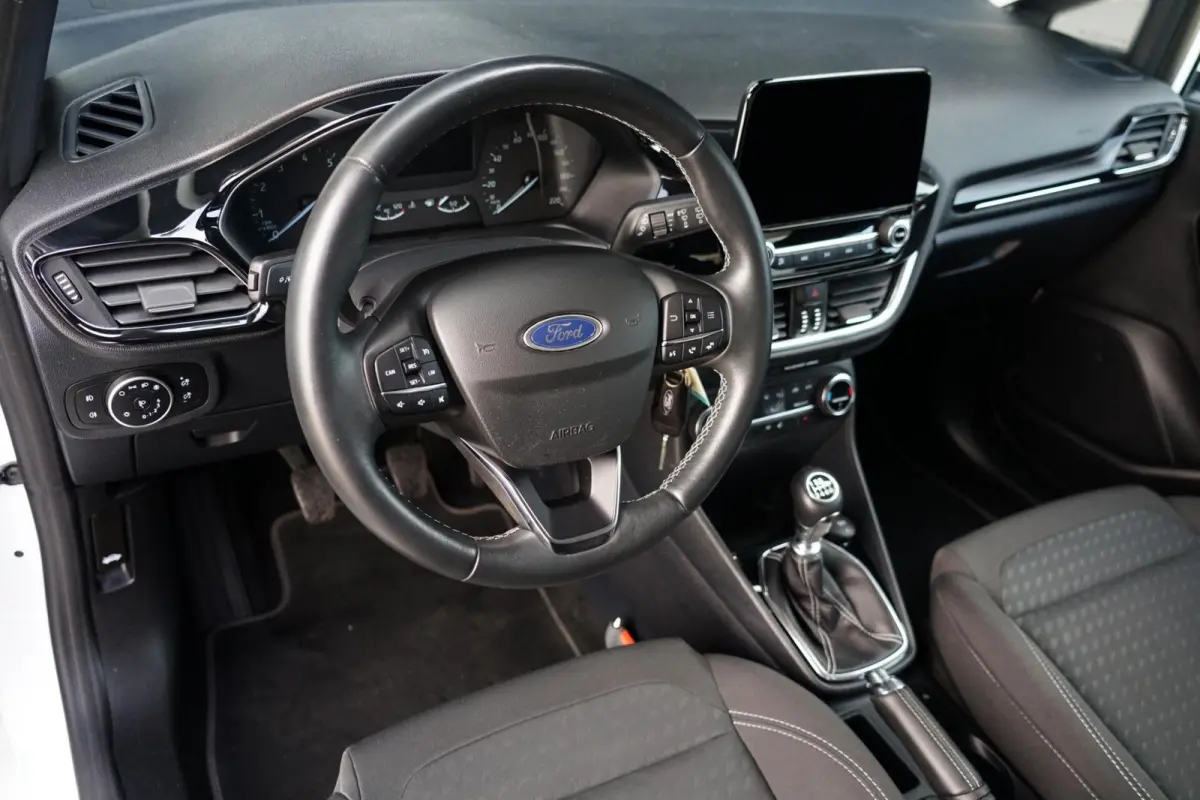 1.0 EcoBoost Titanium, NL, clima, PDC, stoelverw.