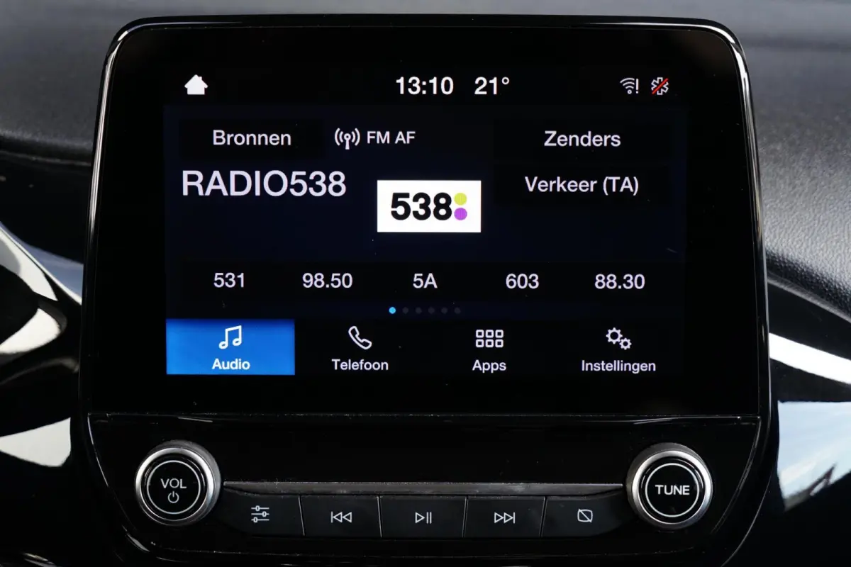 1.0 EcoBoost Titanium, NL, clima, PDC, stoelverw.