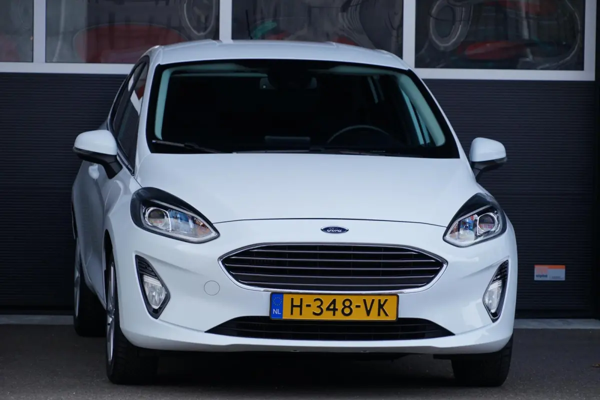 1.0 EcoBoost Titanium, NL, clima, PDC, stoelverw.