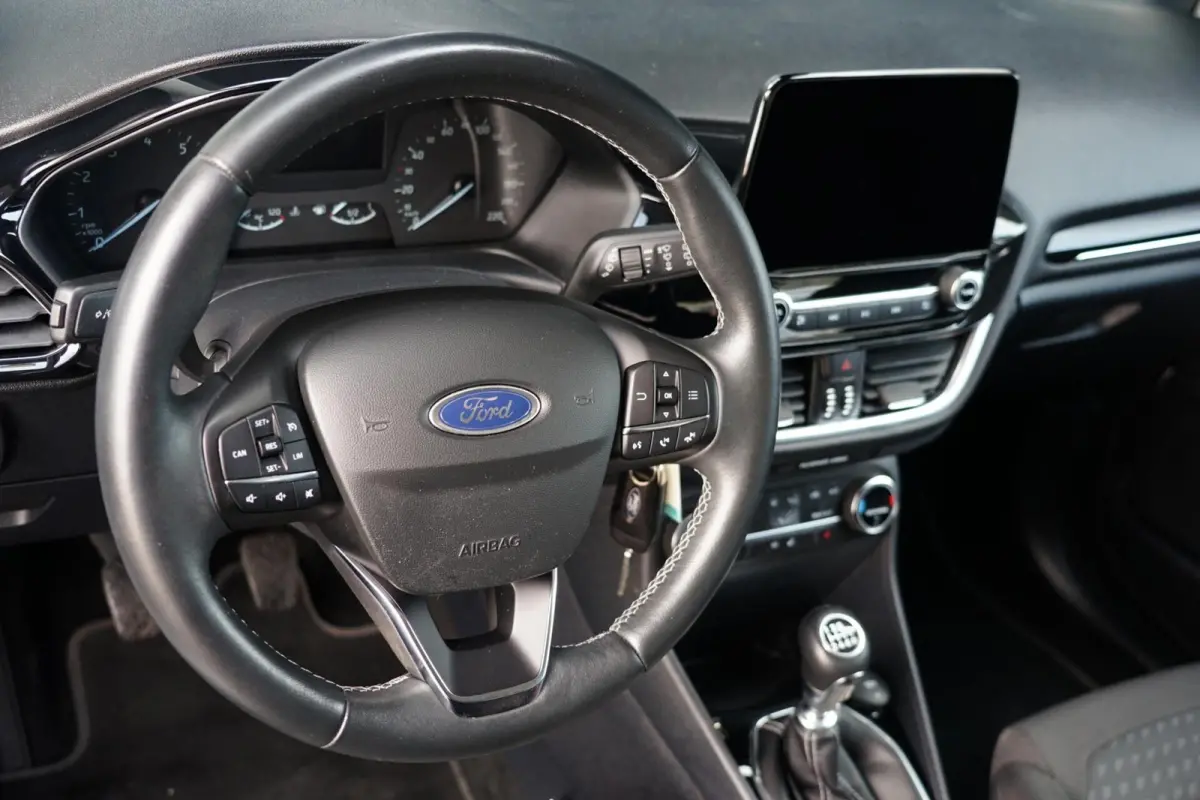 1.0 EcoBoost Titanium, NL, clima, PDC, stoelverw.