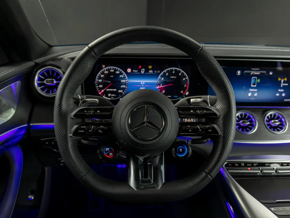 AMG 43 4MATIC+ Panorama dak
