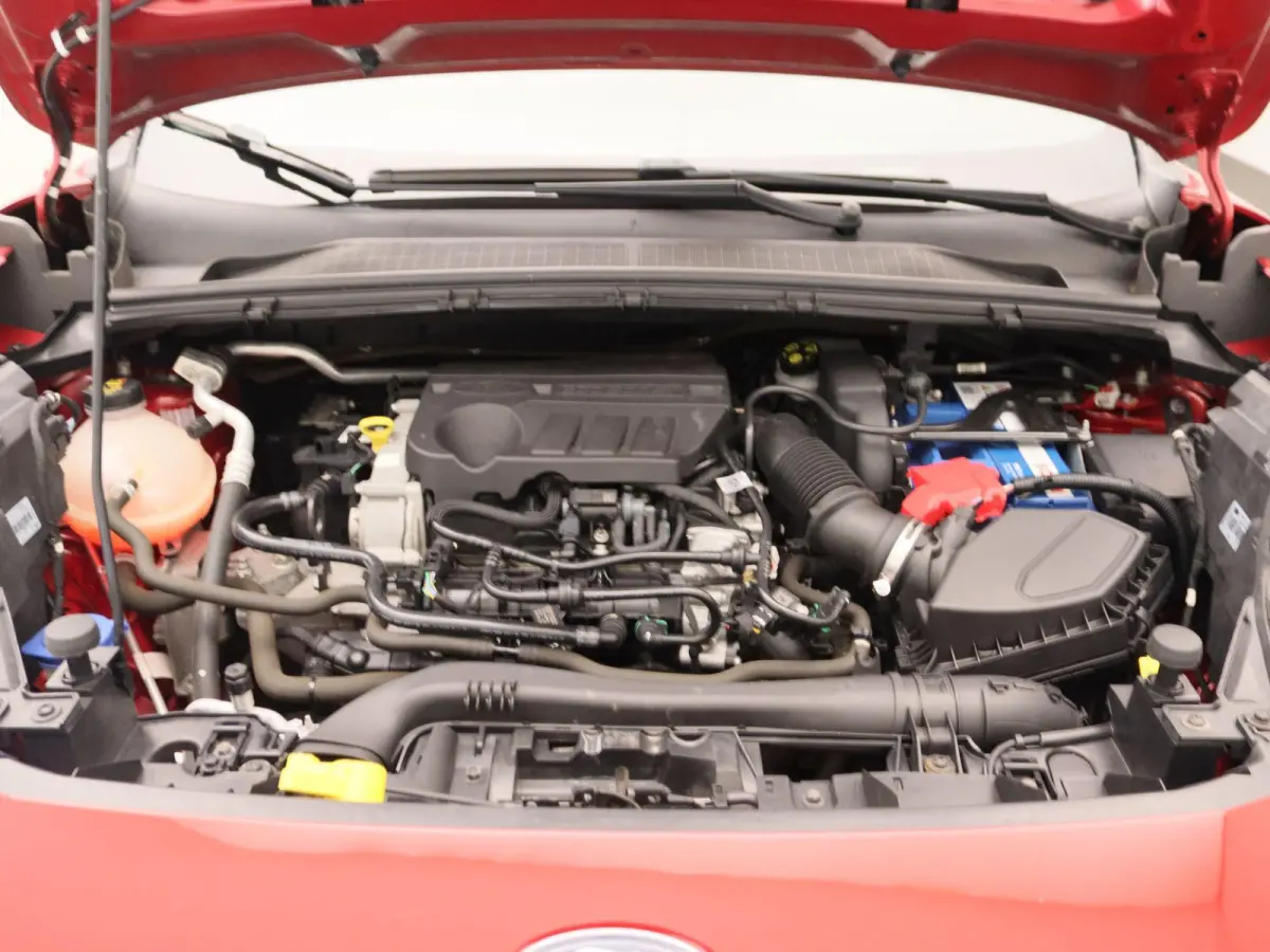 1.0 EcoBoost ST-Line | B&O | Winter Pakket | LED | Cruise Control | DAB |