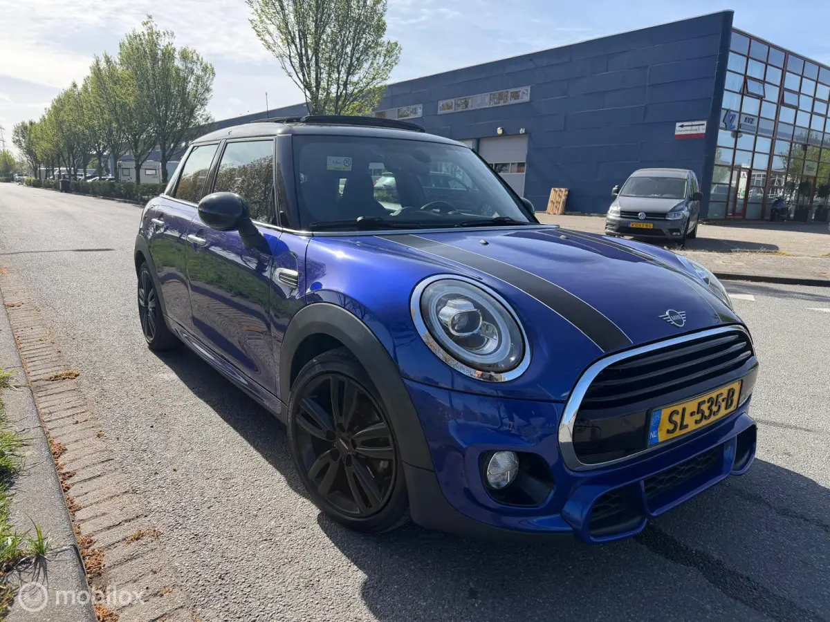 Mini 1.5 Chili johnny cooper works