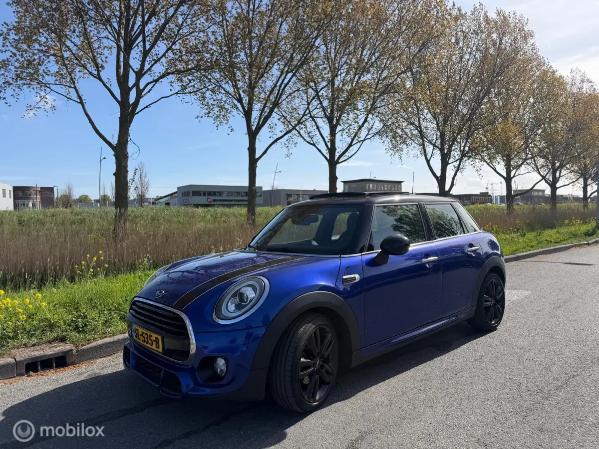 Mini 1.5 Chili johnny cooper works