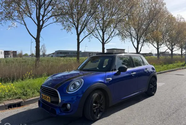 Mini 1.5 Chili johnny cooper works