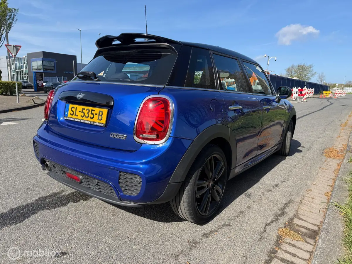 Mini 1.5 Chili johnny cooper works