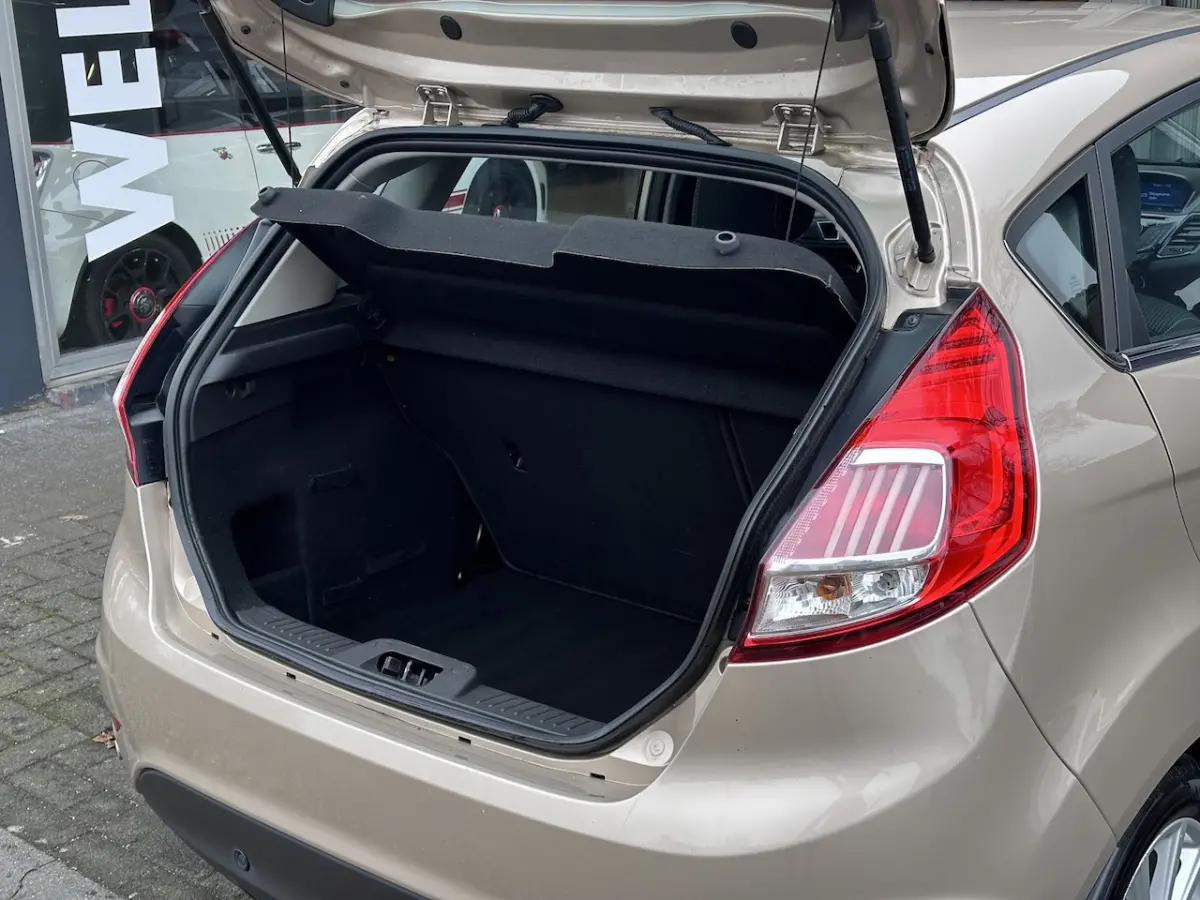 1.0 EcoBoost Titanium