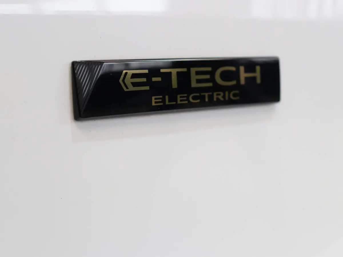 Extra L1 44 kWh | Stoel- en stuurwielverwarming | Voorruitverwarming | Trekhaak | Laadruimtebetimmering |