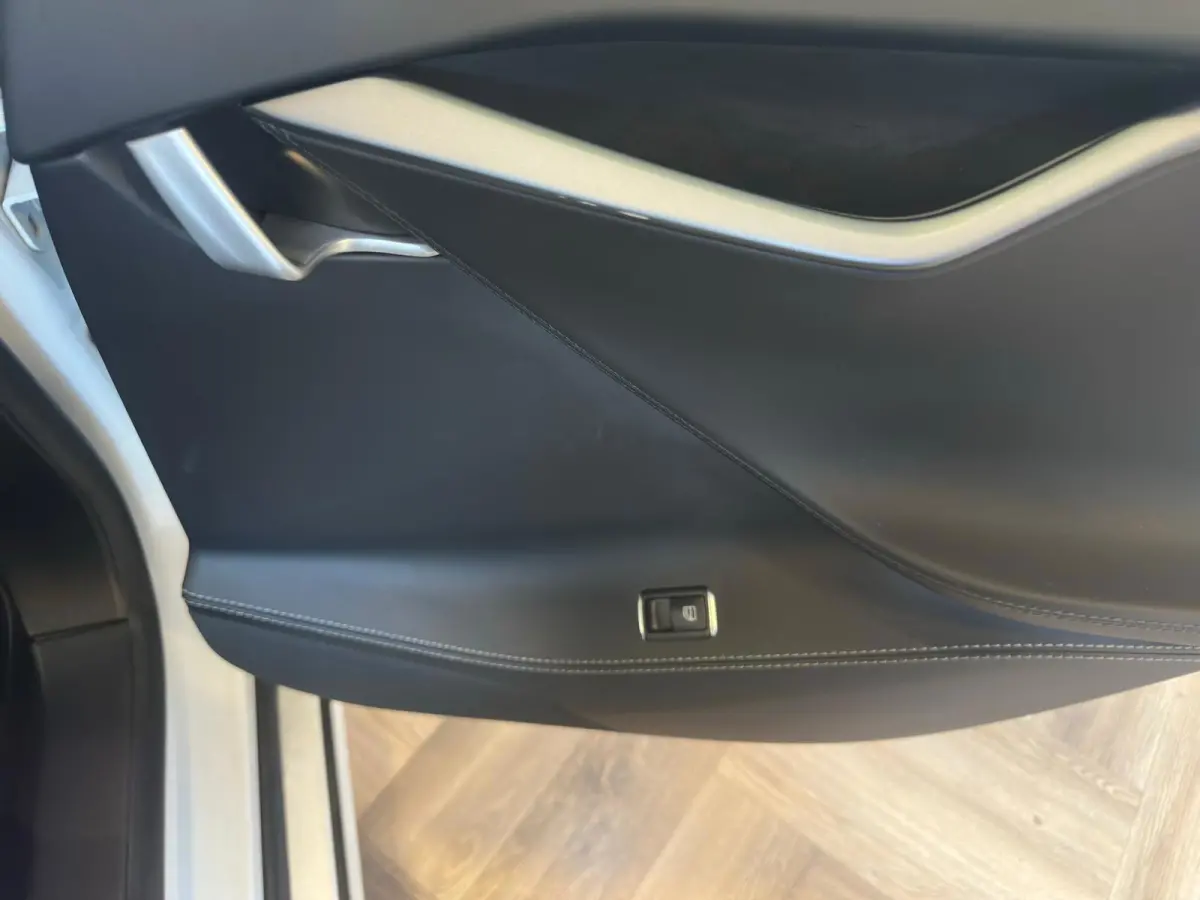 P100D PERFORMANCE|700PK| INRUIL MOGELIJK|