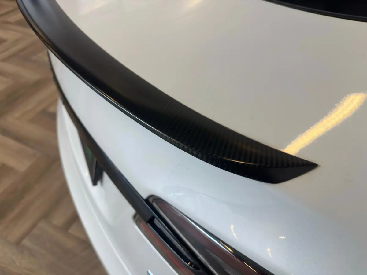 P100D PERFORMANCE|700PK| INRUIL MOGELIJK|