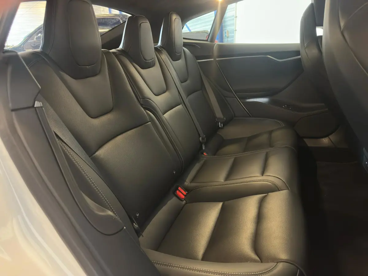 P100D PERFORMANCE|700PK| INRUIL MOGELIJK|
