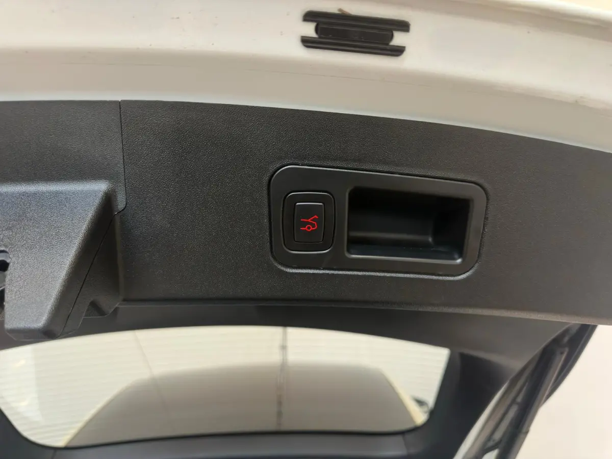 P100D PERFORMANCE|700PK| INRUIL MOGELIJK|