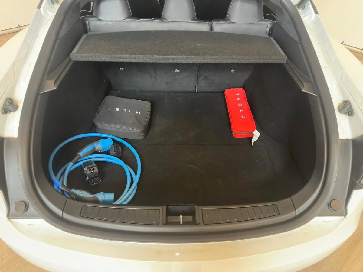 P100D PERFORMANCE|700PK| INRUIL MOGELIJK|