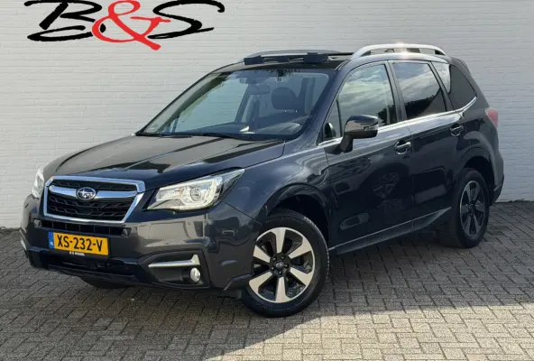 2.0 Premium Automaat 4x4 Trekhaak Clima Cruise Camera Leder Memory Seats Panorama Navigatie