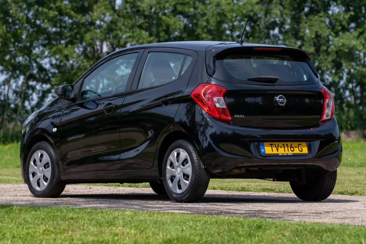 1.0 ecoFLEX Edition 1e Eigenaar NL-auto + NAP