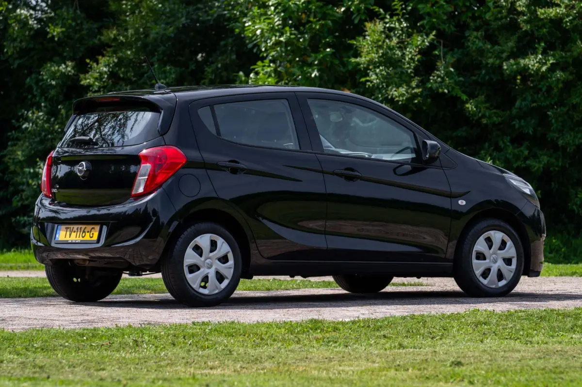 1.0 ecoFLEX Edition 1e Eigenaar NL-auto + NAP