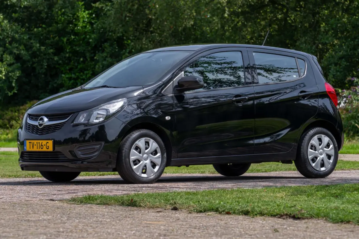 1.0 ecoFLEX Edition 1e Eigenaar NL-auto + NAP