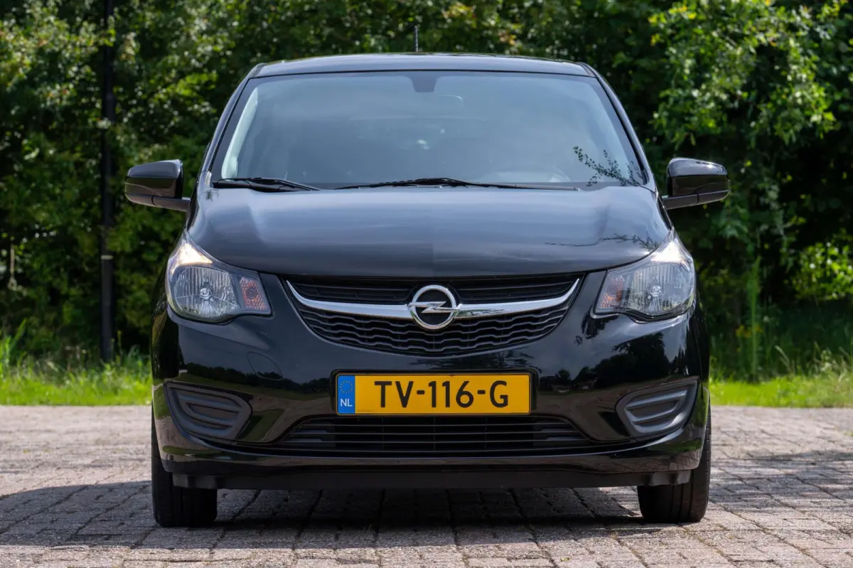 1.0 ecoFLEX Edition 1e Eigenaar NL-auto + NAP