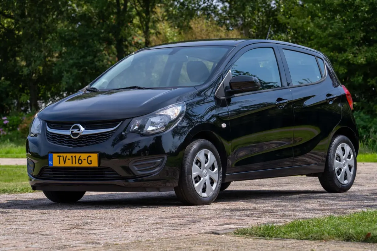 1.0 ecoFLEX Edition 1e Eigenaar NL-auto + NAP