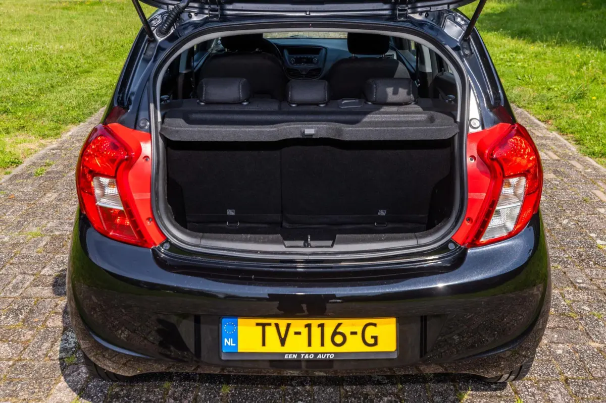 1.0 ecoFLEX Edition 1e Eigenaar NL-auto + NAP