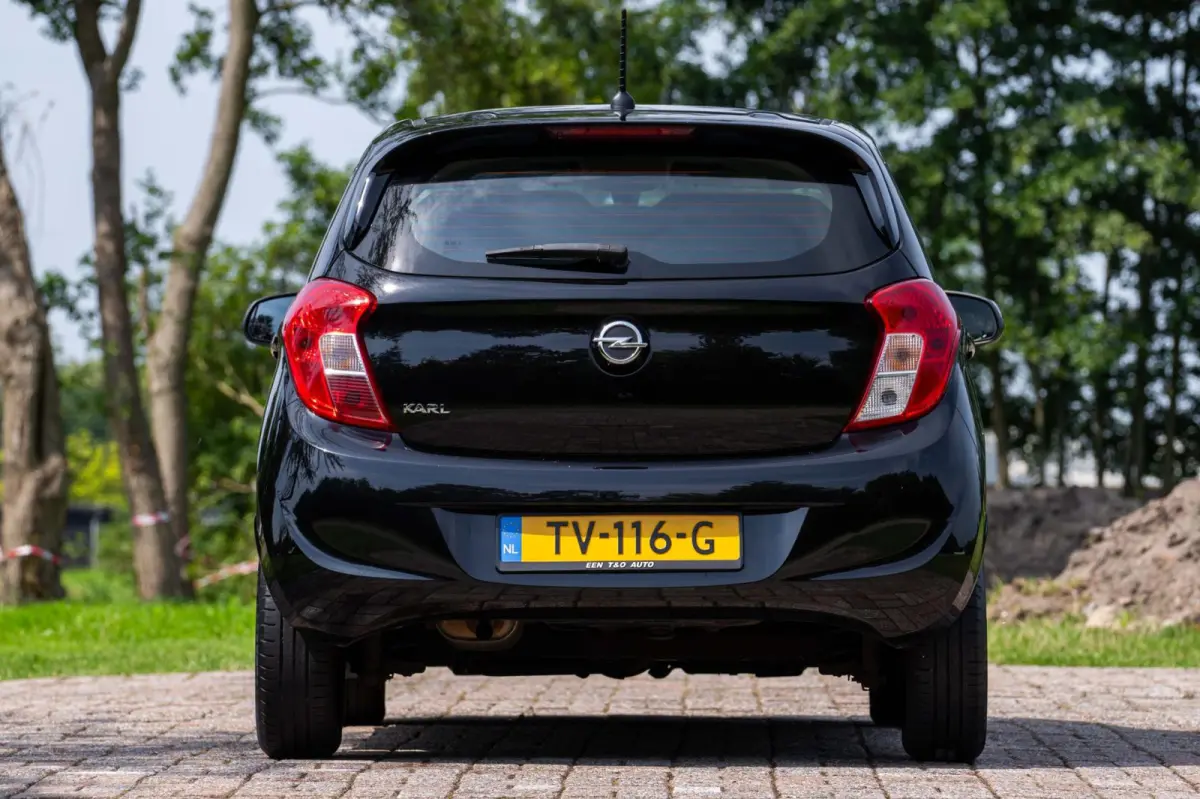 1.0 ecoFLEX Edition 1e Eigenaar NL-auto + NAP