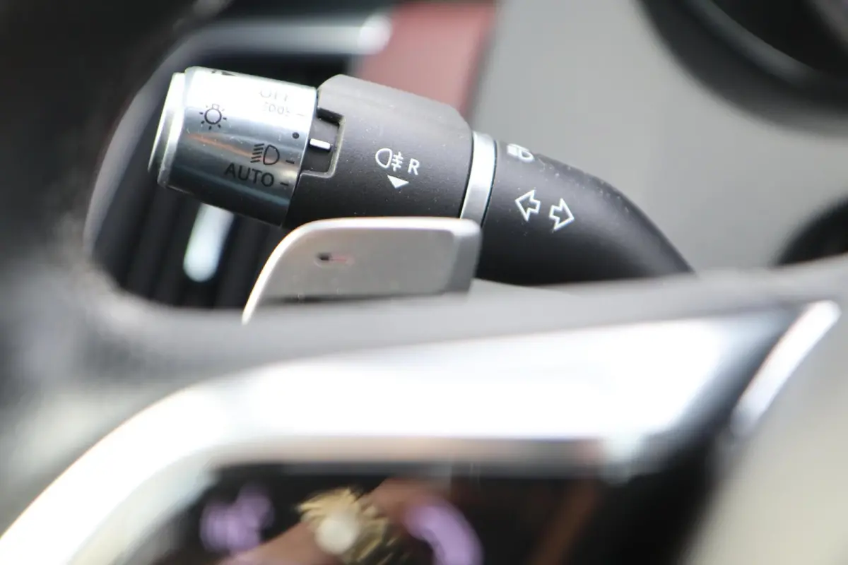 P300e 309PK R-Dynamic AWD | Pano | Leder | Meridian | Digidash | ACC