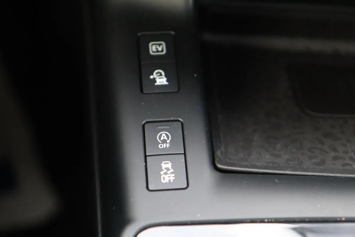 P300e 309PK R-Dynamic AWD | Pano | Leder | Meridian | Digidash | ACC