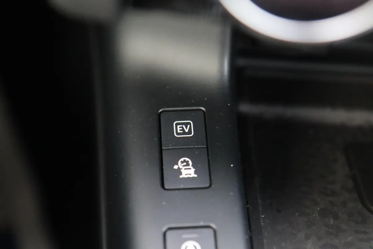 P300e 309PK R-Dynamic AWD | Pano | Leder | Meridian | Digidash | ACC