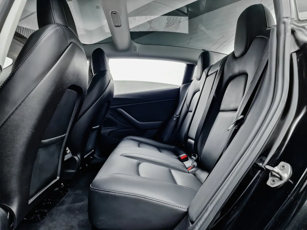 Performance S Dual Motor Blackline Aut- Panoramadak, Autopilot, Comfort Leder, Carbon Parts