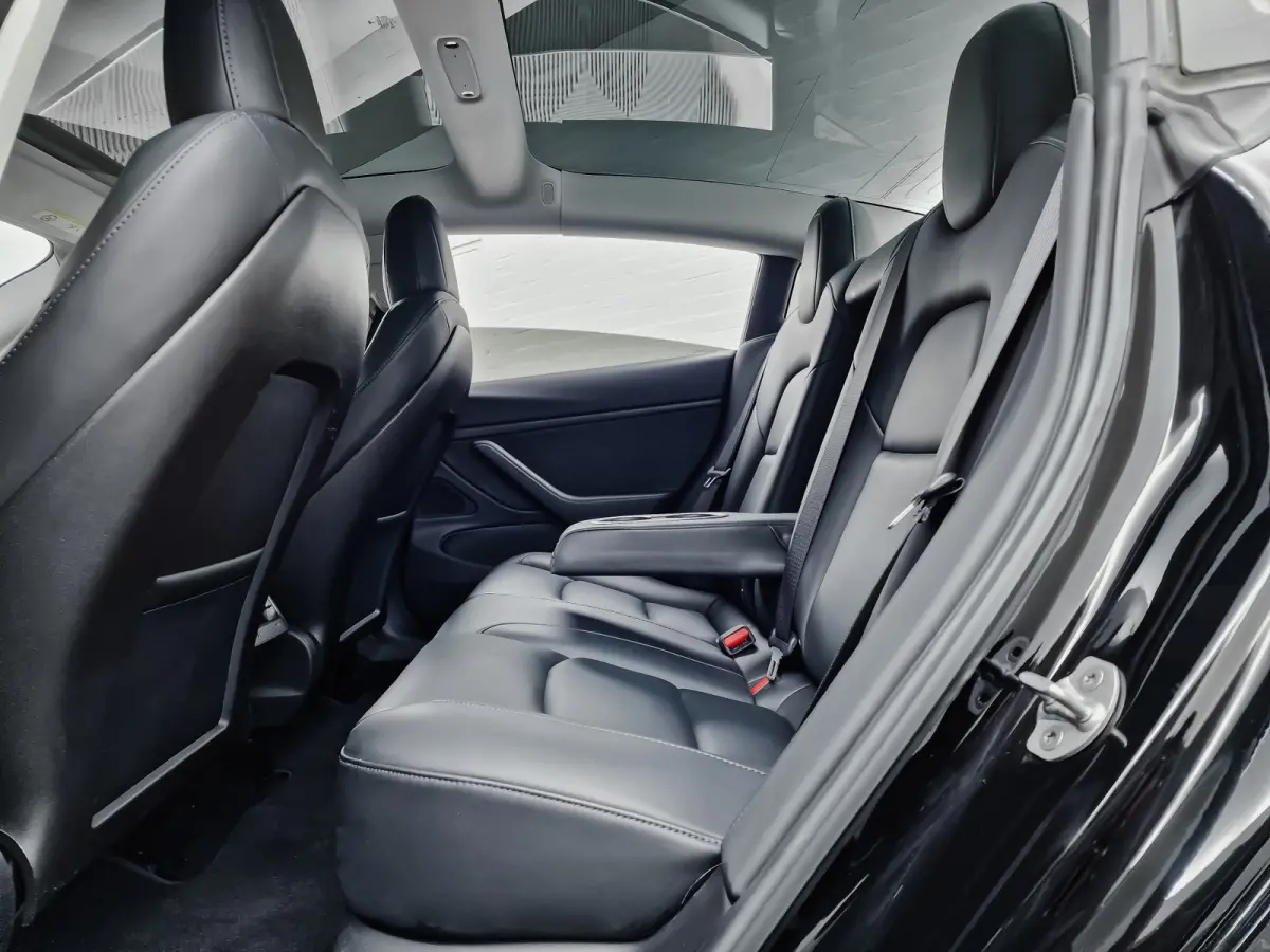 Performance S Dual Motor Aut- SOH 91%, Panoramadak, Autopilot, Comfort Leder, Carbon Parts