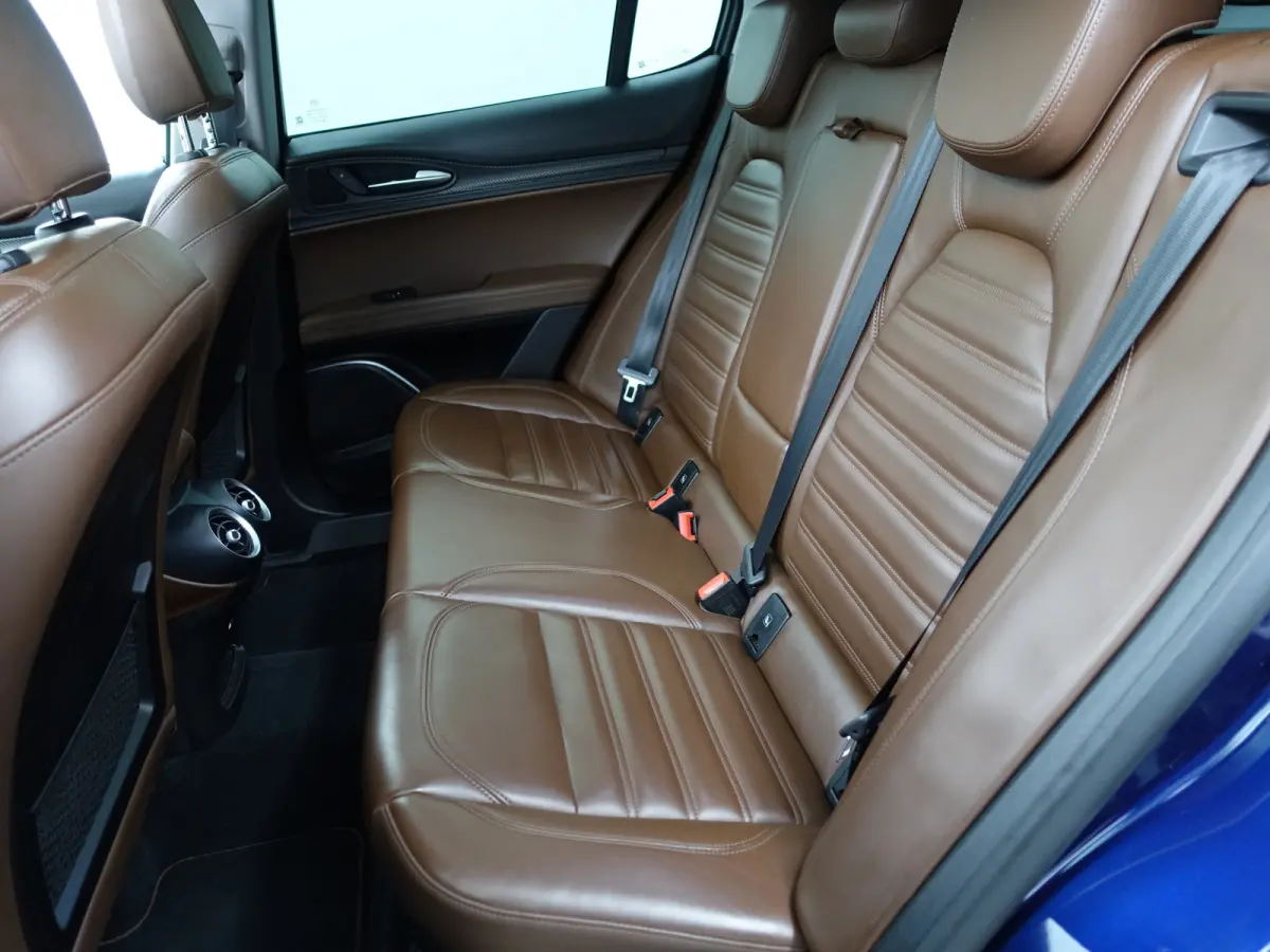 2.0 T AWD First Edition Aut- Panoramadak, Design Leder, Stuur/Stoelverwarming, Memory, Carbon