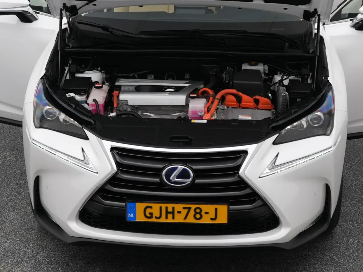 300h AWD Business Line | CAMERA | TREKHAAK