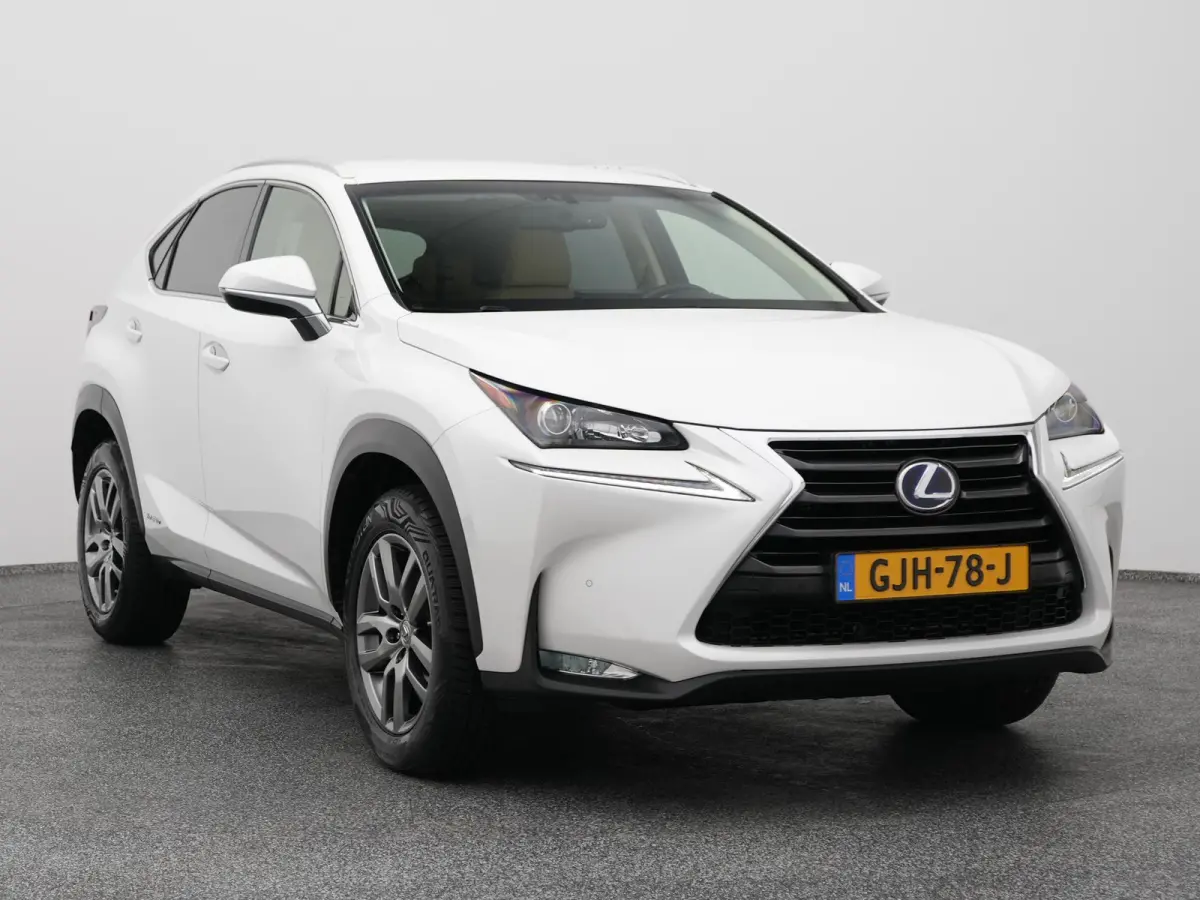 300h AWD Business Line | CAMERA | TREKHAAK