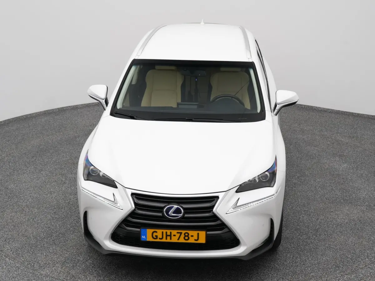 300h AWD Business Line | CAMERA | TREKHAAK